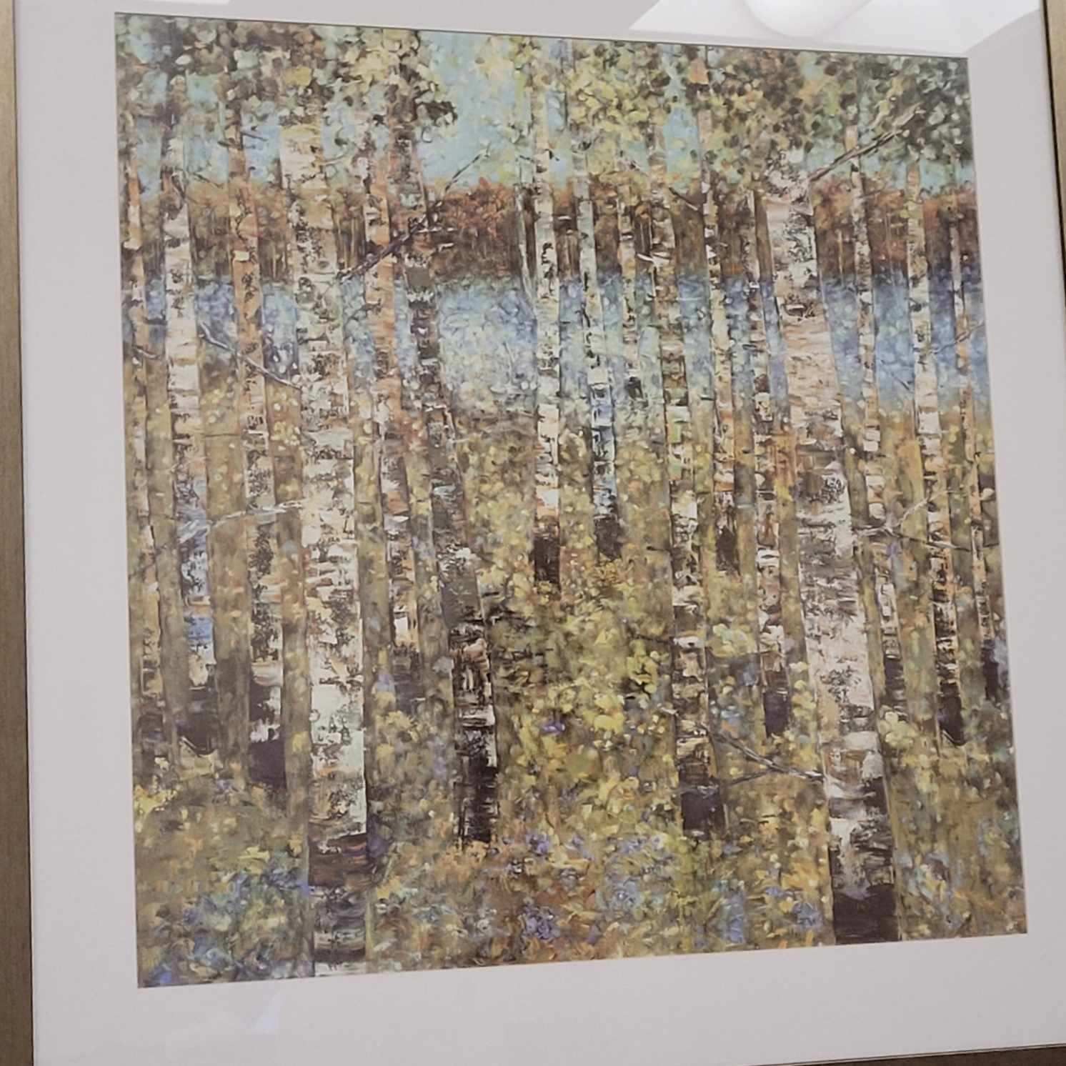 Birch Grove image